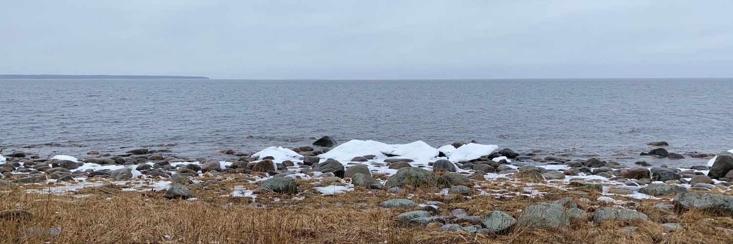 Rasmus Hansen banner