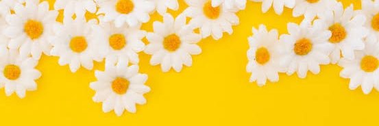 Agustiiiinnna95's profile banner image