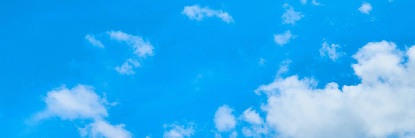 Ehamiltonianus's profile banner image