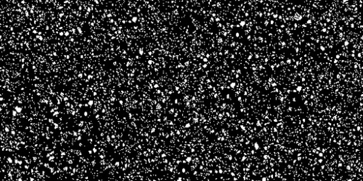 Kleavon's profile banner image