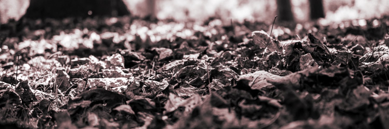 annag033's profile banner image