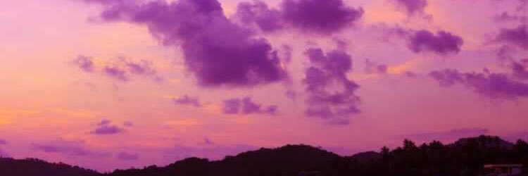 stephjsxx's profile banner image