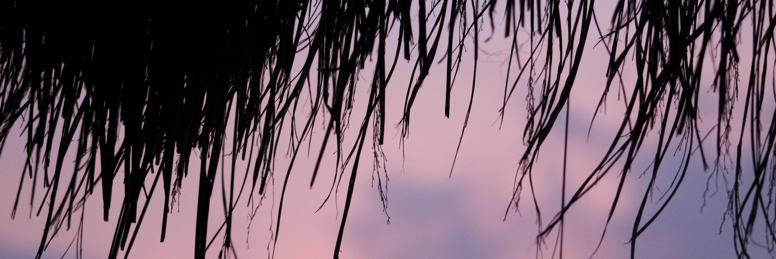 MisssT__'s profile banner image