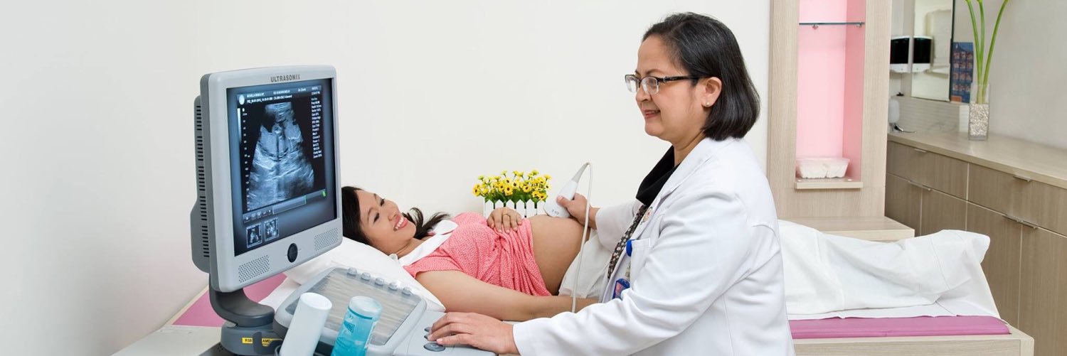 Rumah Sakit Santo Borromeus banner