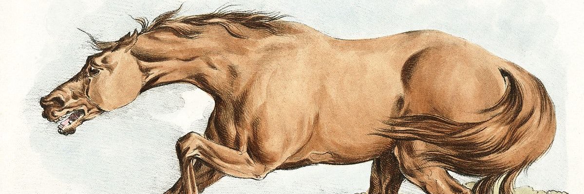 margwyn's profile banner image