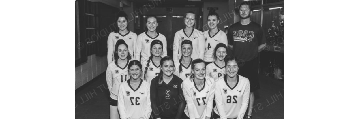 Case Volleyball banner