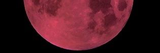 redioxvy's profile banner image