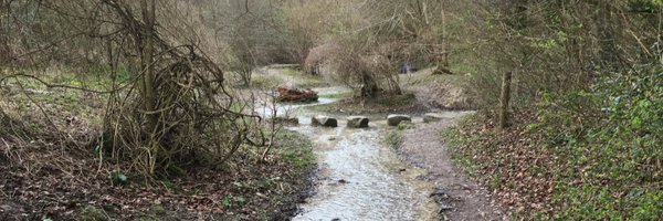 MichaelFour20 Profile Banner