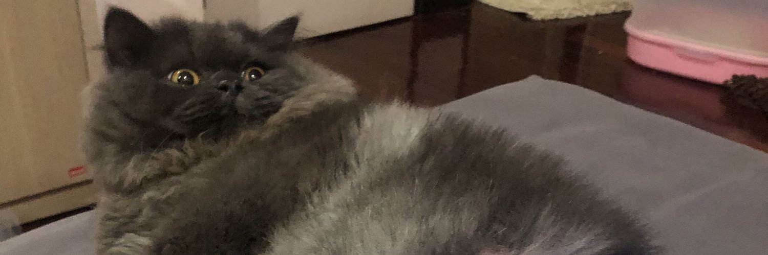 zerployii's profile banner image
