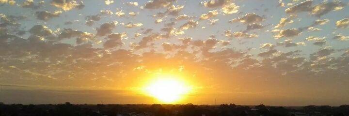 Cynthia Solange banner