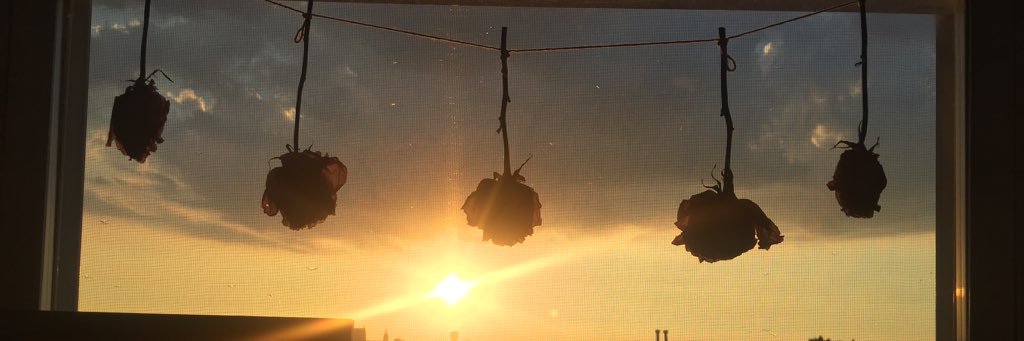 kristendeasy's profile banner image