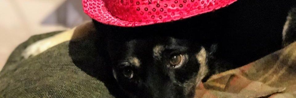 Lu_tomk's profile banner image