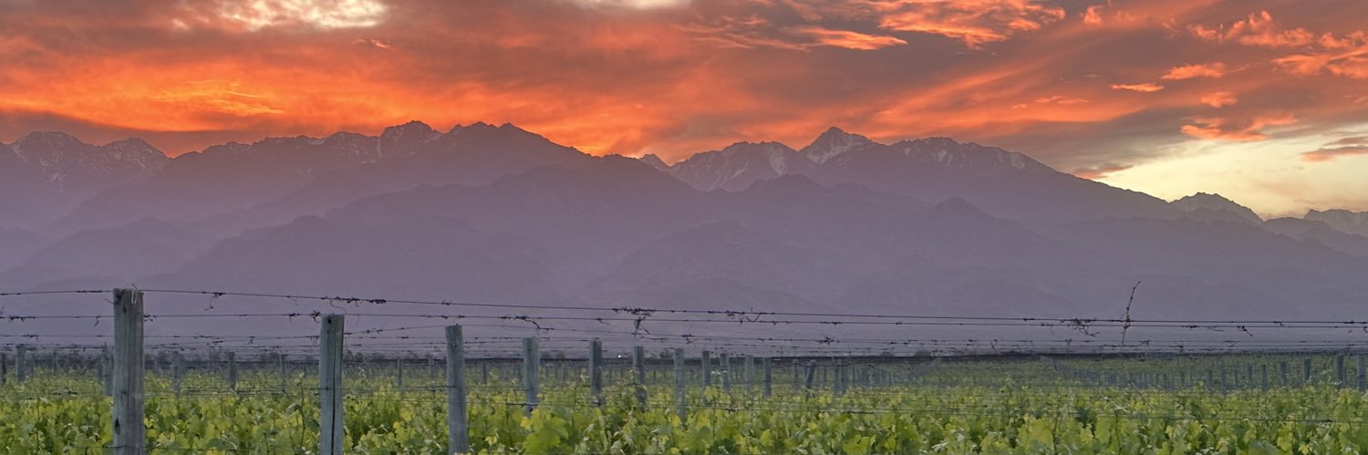 Camilo Fdez de Soto banner