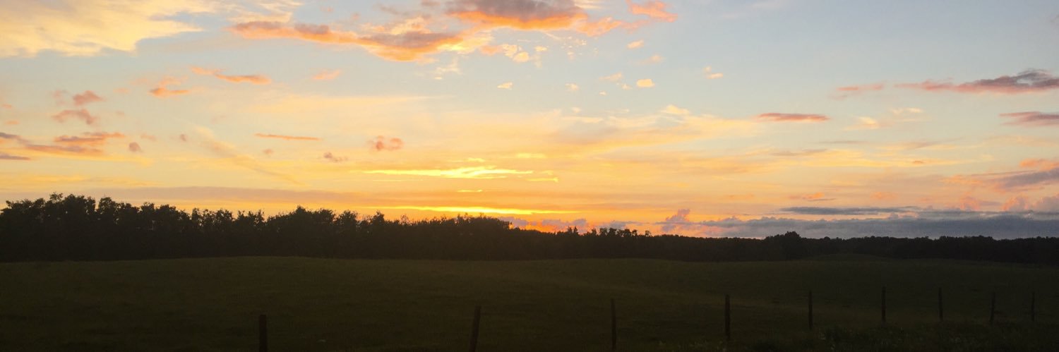 meg_blad's profile banner image