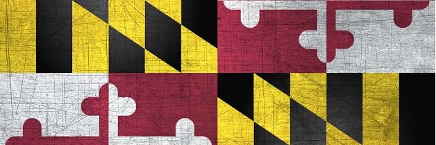 markuscott's profile banner image