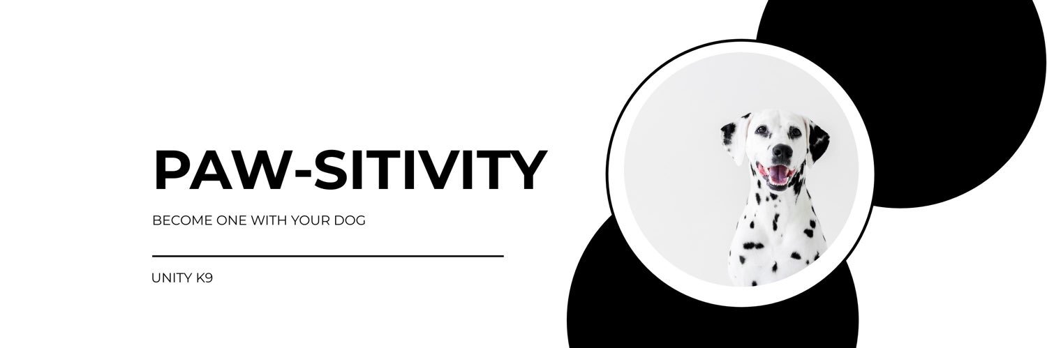 UnityK9's profile banner image