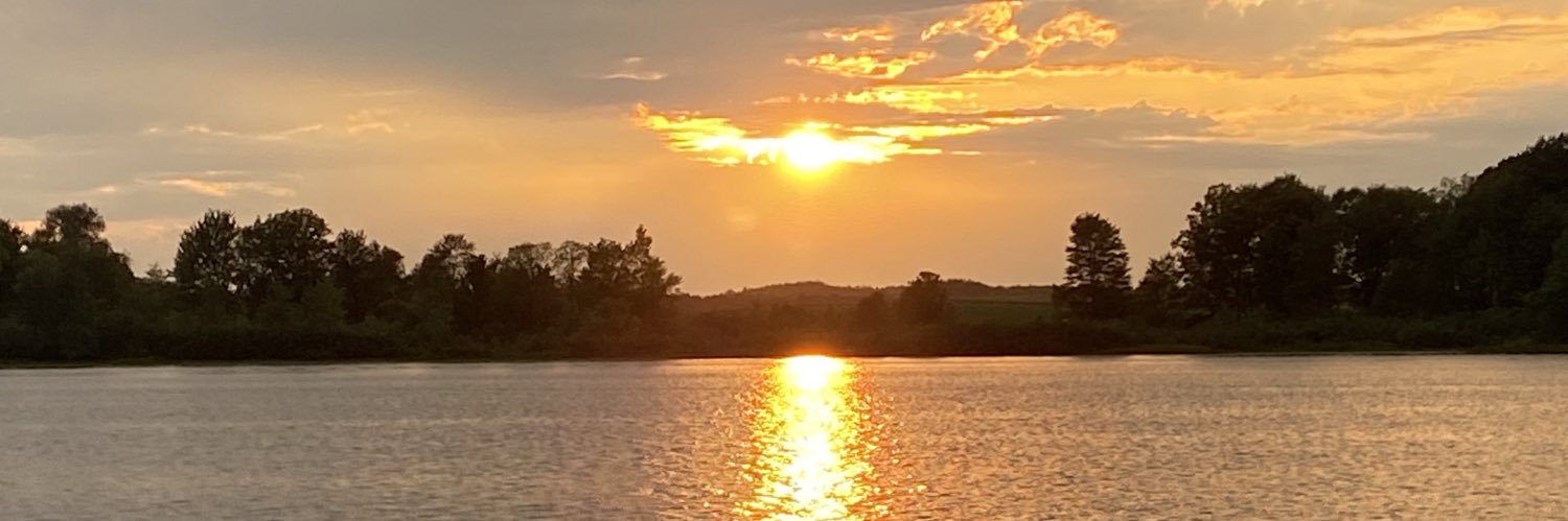 wiseleytweeting's profile banner image