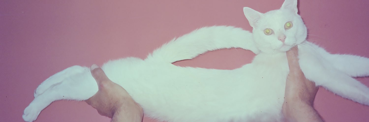 corral_cami's profile banner image