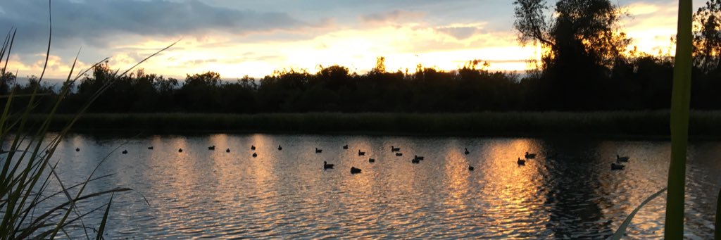 ADAM_TREECE's profile banner image