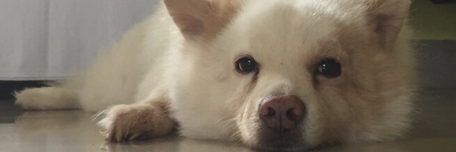DrSan4e's profile banner image