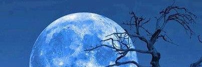 arigonzalez_95's profile banner image