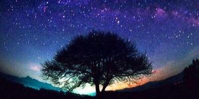 linds_f17's profile banner image
