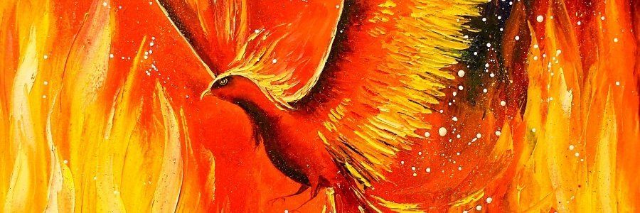 NiftyOptalper's profile banner image