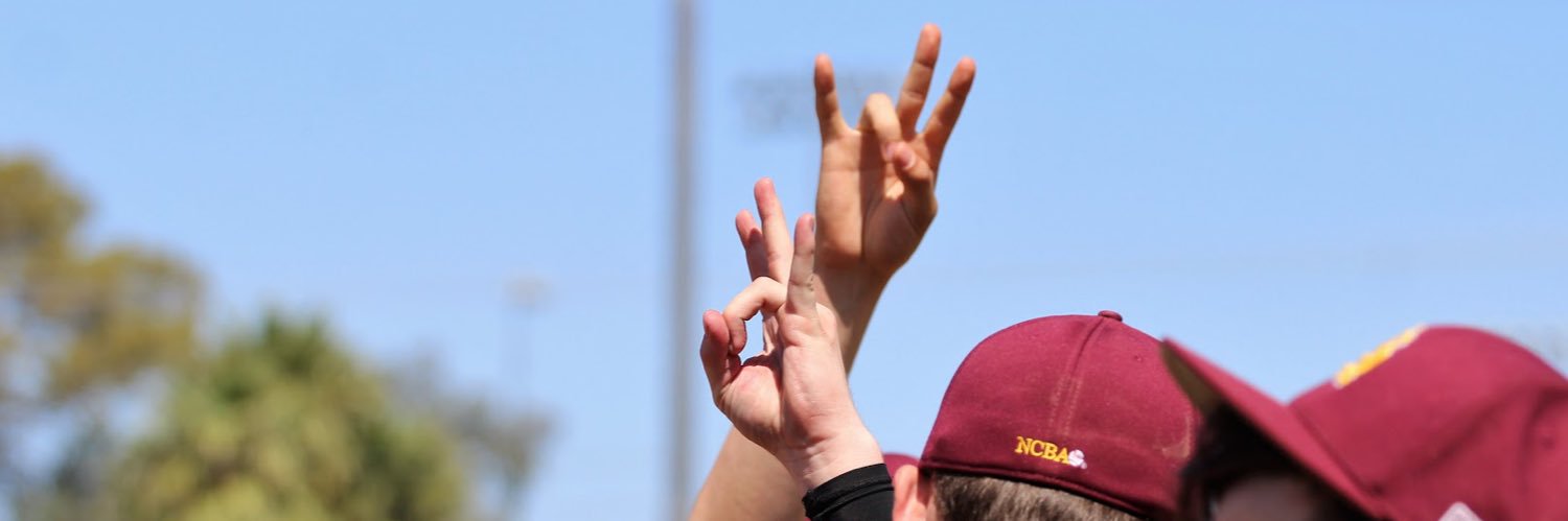 Devils Club Baseball banner