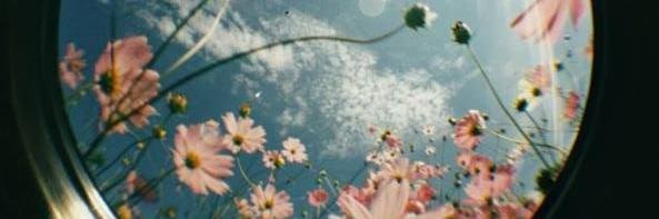 FlorRimada's profile banner image