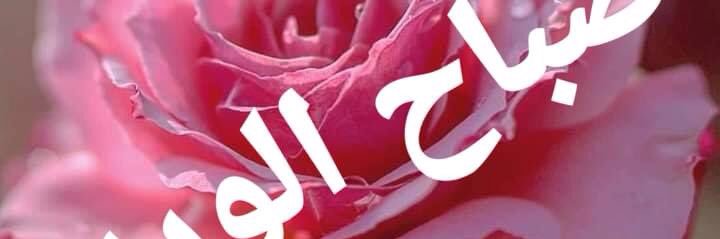 nabila yaish banner
