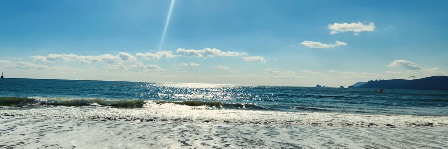 Bilguun01's profile banner image