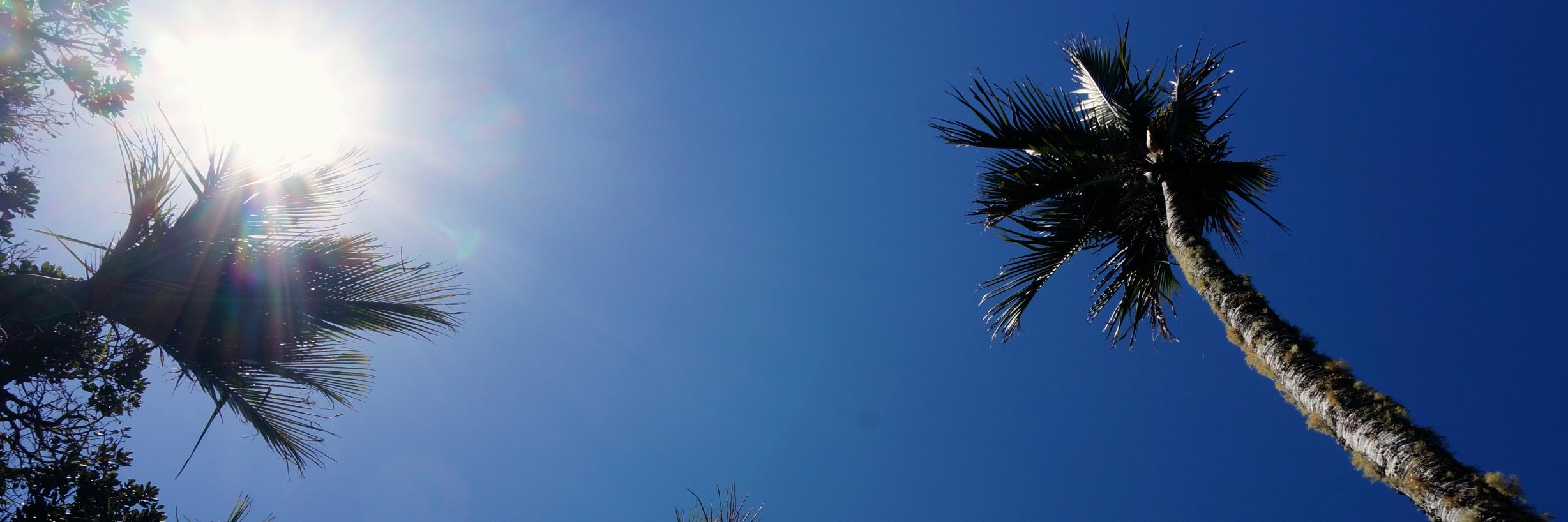 RichMEvans's profile banner image