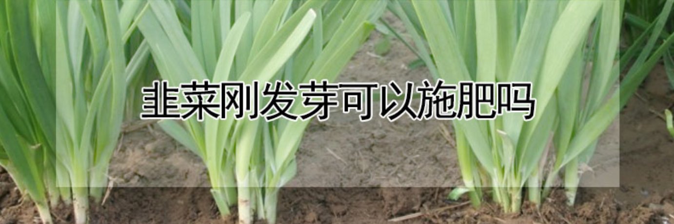 weijunzi's profile banner image