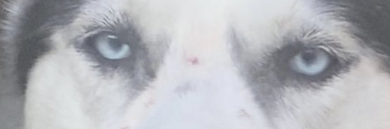 secretbuzz_'s profile banner image