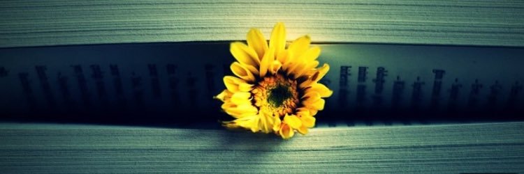 Candance1331's profile banner image