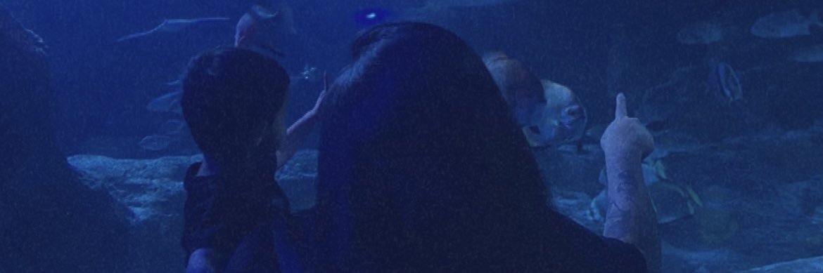 tifffvny's profile banner image