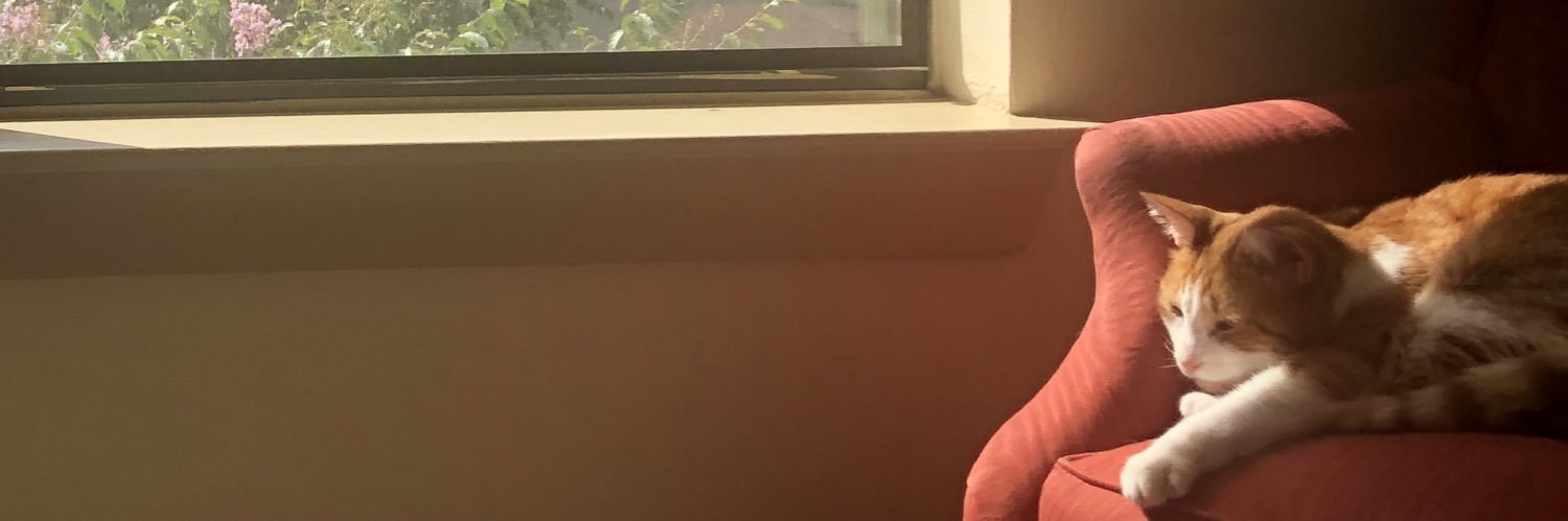 blkemrtin's profile banner image