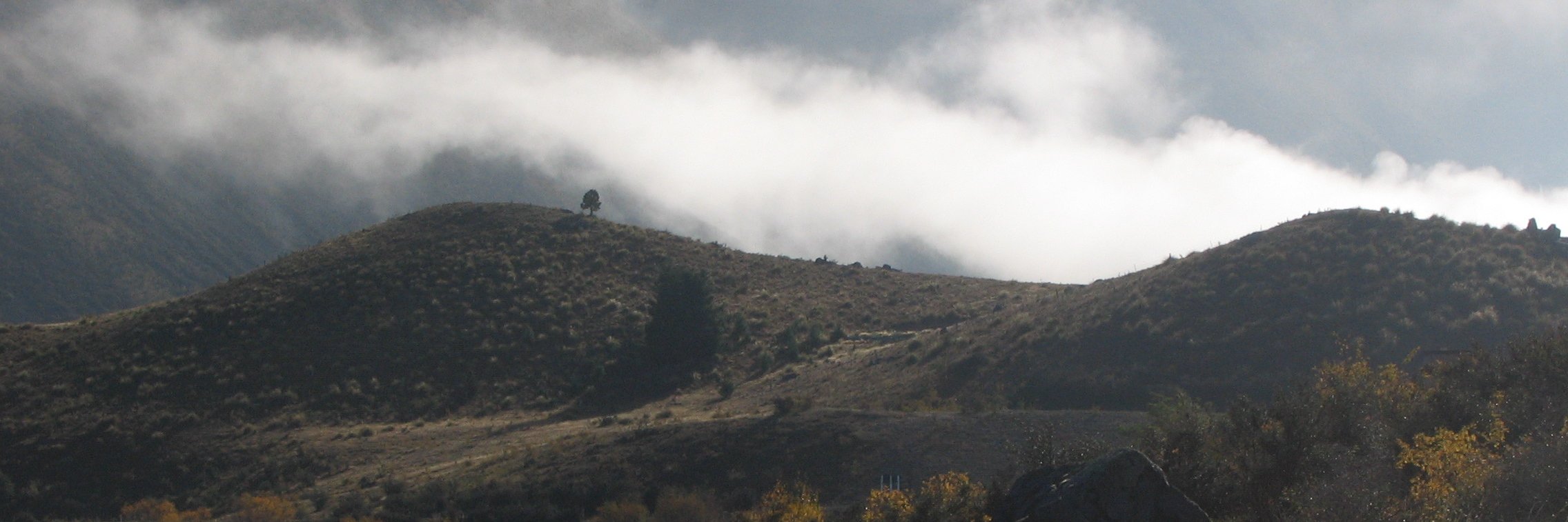 StannicChloride's profile banner image