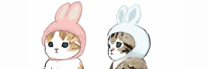 frwlala's profile banner image
