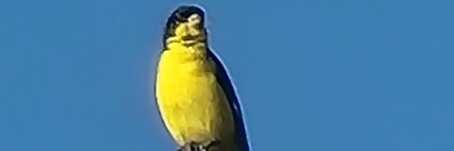 owenguti's profile banner image