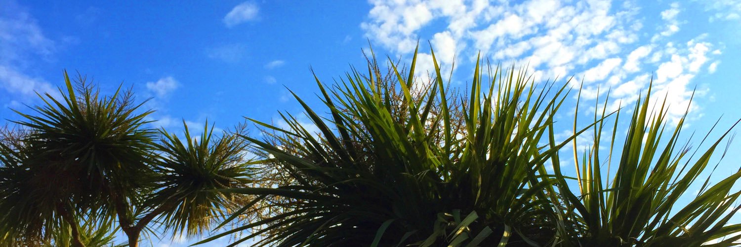 saran05291's profile banner image