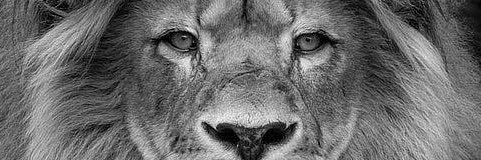 SabrinaTooole's profile banner image