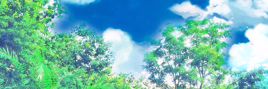 wsplusmessyth58's profile banner image