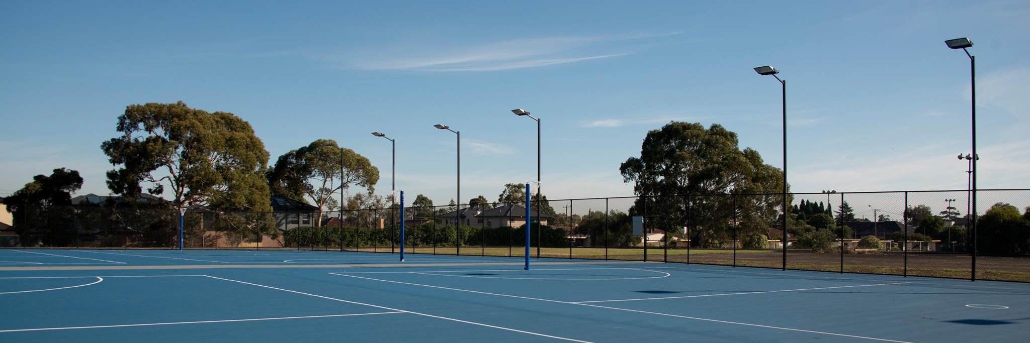 Active Moreland banner