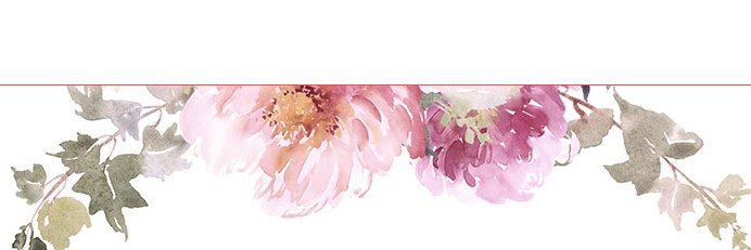 ilimaktodd's profile banner image