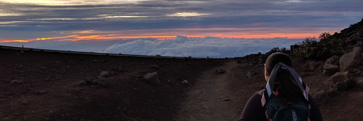 Lisandra Vila Ellis, MD banner