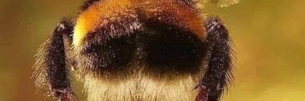 olawale110 Profile Banner