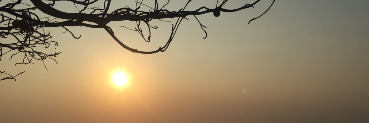 bellararantica's profile banner image
