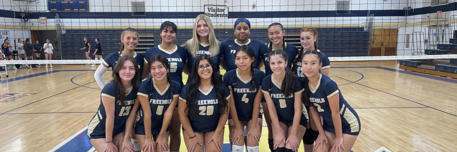 BoroGirls Volleyball banner