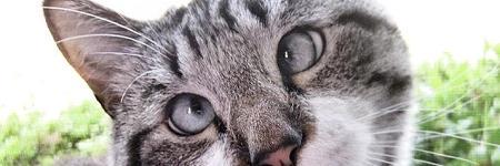 Drotker's profile banner image